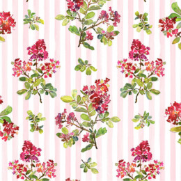 Blossoms Stripe - Pink